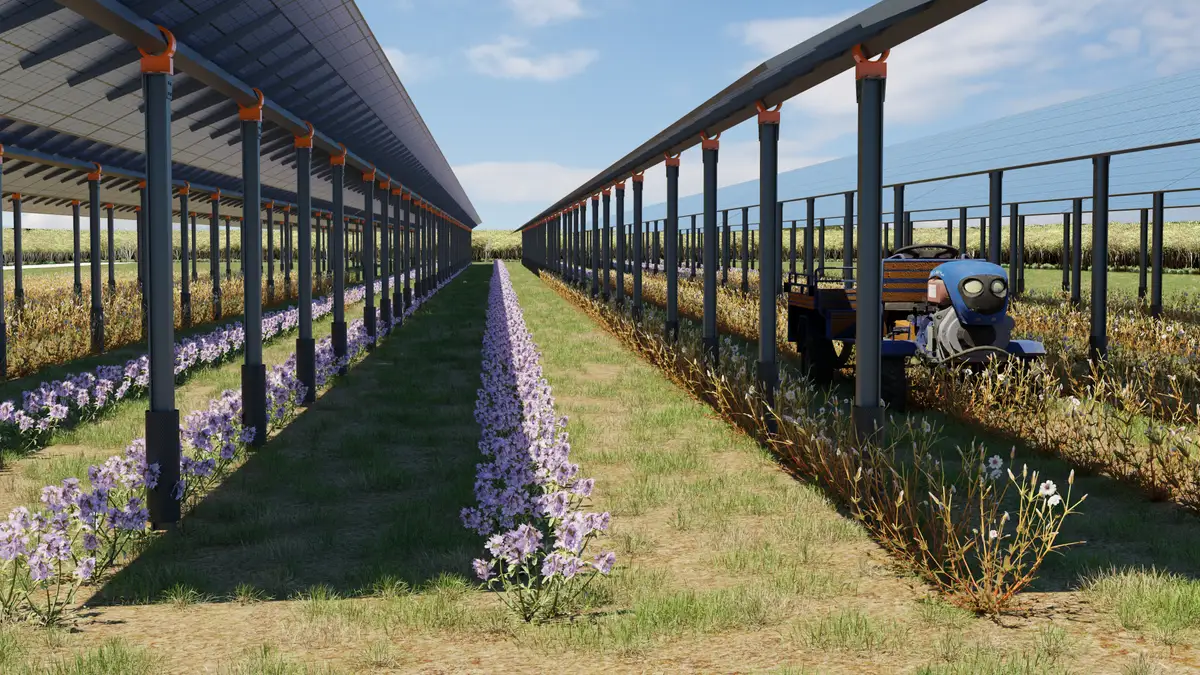 Rendering di pannelli solari sopra le colture con un mezzo agricolo