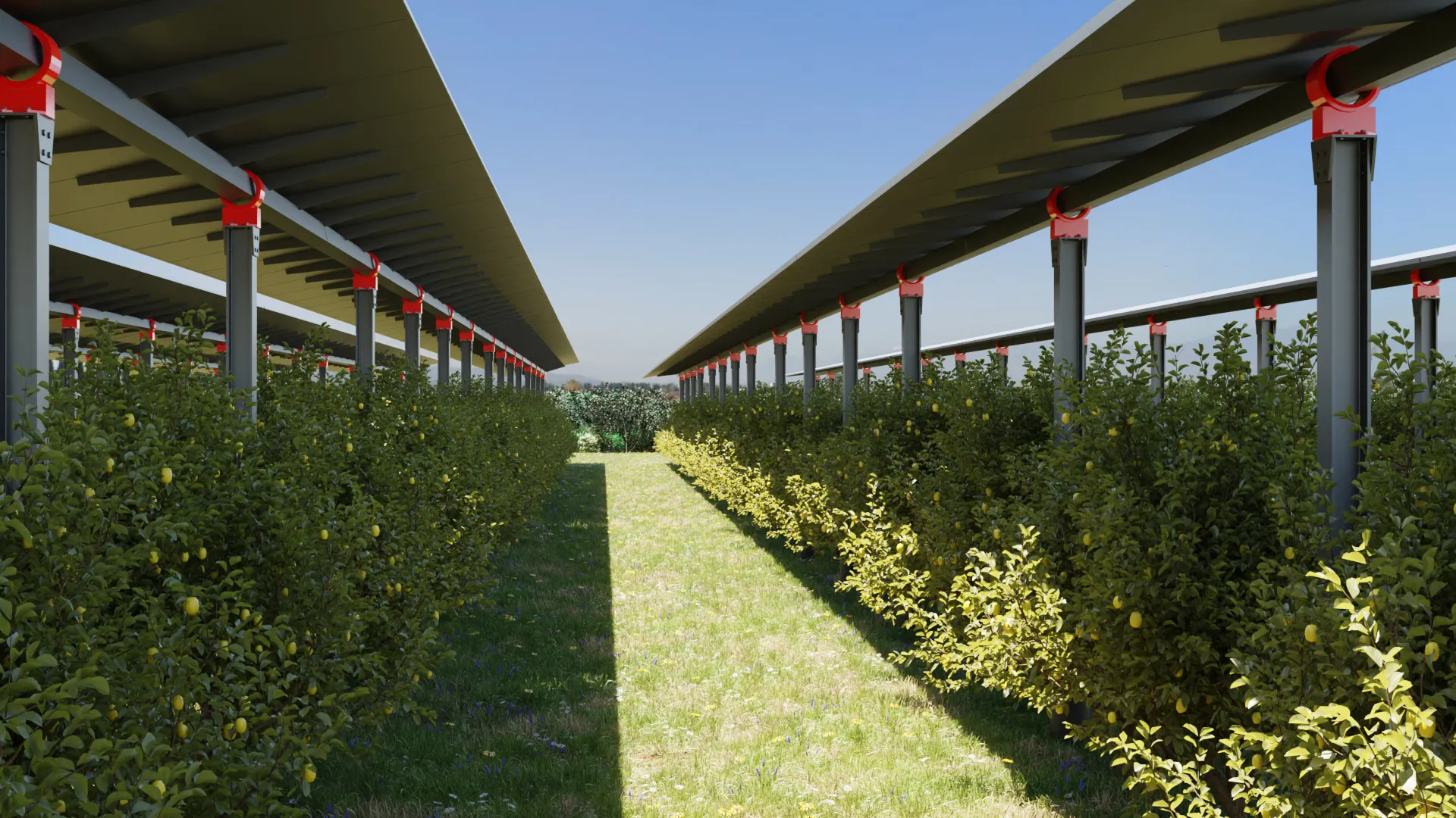 Rendering del progetto Agrivoltaico Frutteto 1