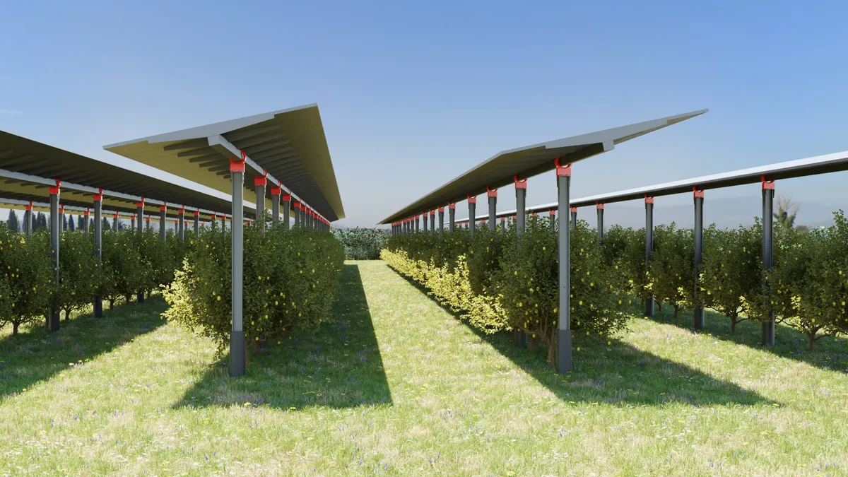 Rendering del progetto Frutteto 1 con pannelli sopra i filari del frutteto